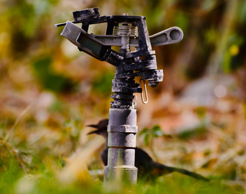 Preparing your sprinkler system for the Winter